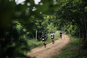 BIB: 
                            <button type="button" onclick="openModal(26829677)" class="btn btn-primary btn-sm float-right btn-popup" data-toggle="modal" data-target=".modal-high-quality">
                        <i class="fas fa-shopping-cart"></i> Add to Cart
                    </button>
                                            <button type="button" onclick="isThisMe(26829677, true)" class="btn btn-success btn-sm float-right btn-popup btn-isme hidden" data-toggle="tooltip" data-placement="bottom" title="นี่คือรูปของคุณใช่ไหม คลิกที่นี่เพื่อเอาเข้าอัลบั้ม">
                        <i class="fas fa-plus"></i> Add to album
                    </button>
                    <button type="button" onclick="isThisMe(26829677, false)" class="btn btn-warning btn-sm float-right btn-popup btn-isnotme hidden">
                        <i class="fas fa-ban"></i> Remove from album
                    </button>