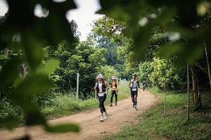 BIB: 
                            <button type="button" onclick="openModal(26821579)" class="btn btn-primary btn-sm float-right btn-popup" data-toggle="modal" data-target=".modal-high-quality">
                        <i class="fas fa-shopping-cart"></i> Add to Cart
                    </button>
                                            <button type="button" onclick="isThisMe(26821579, true)" class="btn btn-success btn-sm float-right btn-popup btn-isme hidden" data-toggle="tooltip" data-placement="bottom" title="นี่คือรูปของคุณใช่ไหม คลิกที่นี่เพื่อเอาเข้าอัลบั้ม">
                        <i class="fas fa-plus"></i> Add to album
                    </button>
                    <button type="button" onclick="isThisMe(26821579, false)" class="btn btn-warning btn-sm float-right btn-popup btn-isnotme hidden">
                        <i class="fas fa-ban"></i> Remove from album
                    </button>