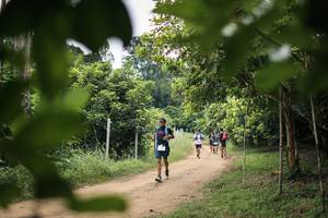 BIB: 
                            <button type="button" onclick="openModal(26822475)" class="btn btn-primary btn-sm float-right btn-popup" data-toggle="modal" data-target=".modal-high-quality">
                        <i class="fas fa-shopping-cart"></i> Add to Cart
                    </button>
                                            <button type="button" onclick="isThisMe(26822475, true)" class="btn btn-success btn-sm float-right btn-popup btn-isme hidden" data-toggle="tooltip" data-placement="bottom" title="นี่คือรูปของคุณใช่ไหม คลิกที่นี่เพื่อเอาเข้าอัลบั้ม">
                        <i class="fas fa-plus"></i> Add to album
                    </button>
                    <button type="button" onclick="isThisMe(26822475, false)" class="btn btn-warning btn-sm float-right btn-popup btn-isnotme hidden">
                        <i class="fas fa-ban"></i> Remove from album
                    </button>