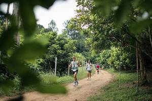 BIB: 
                            <button type="button" onclick="openModal(26823548)" class="btn btn-primary btn-sm float-right btn-popup" data-toggle="modal" data-target=".modal-high-quality">
                        <i class="fas fa-shopping-cart"></i> Add to Cart
                    </button>
                                            <button type="button" onclick="isThisMe(26823548, true)" class="btn btn-success btn-sm float-right btn-popup btn-isme hidden" data-toggle="tooltip" data-placement="bottom" title="นี่คือรูปของคุณใช่ไหม คลิกที่นี่เพื่อเอาเข้าอัลบั้ม">
                        <i class="fas fa-plus"></i> Add to album
                    </button>
                    <button type="button" onclick="isThisMe(26823548, false)" class="btn btn-warning btn-sm float-right btn-popup btn-isnotme hidden">
                        <i class="fas fa-ban"></i> Remove from album
                    </button>