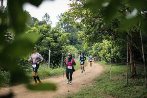 BIB: 
                            <button type="button" onclick="openModal(26822747)" class="btn btn-primary btn-sm float-right btn-popup" data-toggle="modal" data-target=".modal-high-quality">
                        <i class="fas fa-shopping-cart"></i> Add to Cart
                    </button>
                                            <button type="button" onclick="isThisMe(26822747, true)" class="btn btn-success btn-sm float-right btn-popup btn-isme hidden" data-toggle="tooltip" data-placement="bottom" title="นี่คือรูปของคุณใช่ไหม คลิกที่นี่เพื่อเอาเข้าอัลบั้ม">
                        <i class="fas fa-plus"></i> Add to album
                    </button>
                    <button type="button" onclick="isThisMe(26822747, false)" class="btn btn-warning btn-sm float-right btn-popup btn-isnotme hidden">
                        <i class="fas fa-ban"></i> Remove from album
                    </button>