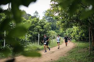 BIB: 
                            <button type="button" onclick="openModal(26822715)" class="btn btn-primary btn-sm float-right btn-popup" data-toggle="modal" data-target=".modal-high-quality">
                        <i class="fas fa-shopping-cart"></i> Add to Cart
                    </button>
                                            <button type="button" onclick="isThisMe(26822715, true)" class="btn btn-success btn-sm float-right btn-popup btn-isme hidden" data-toggle="tooltip" data-placement="bottom" title="นี่คือรูปของคุณใช่ไหม คลิกที่นี่เพื่อเอาเข้าอัลบั้ม">
                        <i class="fas fa-plus"></i> Add to album
                    </button>
                    <button type="button" onclick="isThisMe(26822715, false)" class="btn btn-warning btn-sm float-right btn-popup btn-isnotme hidden">
                        <i class="fas fa-ban"></i> Remove from album
                    </button>