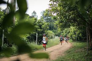 BIB: 
                            <button type="button" onclick="openModal(26827307)" class="btn btn-primary btn-sm float-right btn-popup" data-toggle="modal" data-target=".modal-high-quality">
                        <i class="fas fa-shopping-cart"></i> Add to Cart
                    </button>
                                            <button type="button" onclick="isThisMe(26827307, true)" class="btn btn-success btn-sm float-right btn-popup btn-isme hidden" data-toggle="tooltip" data-placement="bottom" title="นี่คือรูปของคุณใช่ไหม คลิกที่นี่เพื่อเอาเข้าอัลบั้ม">
                        <i class="fas fa-plus"></i> Add to album
                    </button>
                    <button type="button" onclick="isThisMe(26827307, false)" class="btn btn-warning btn-sm float-right btn-popup btn-isnotme hidden">
                        <i class="fas fa-ban"></i> Remove from album
                    </button>