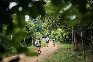 BIB: 
                            <button type="button" onclick="openModal(26831642)" class="btn btn-primary btn-sm float-right btn-popup" data-toggle="modal" data-target=".modal-high-quality">
                        <i class="fas fa-shopping-cart"></i> Add to Cart
                    </button>
                                            <button type="button" onclick="isThisMe(26831642, true)" class="btn btn-success btn-sm float-right btn-popup btn-isme hidden" data-toggle="tooltip" data-placement="bottom" title="นี่คือรูปของคุณใช่ไหม คลิกที่นี่เพื่อเอาเข้าอัลบั้ม">
                        <i class="fas fa-plus"></i> Add to album
                    </button>
                    <button type="button" onclick="isThisMe(26831642, false)" class="btn btn-warning btn-sm float-right btn-popup btn-isnotme hidden">
                        <i class="fas fa-ban"></i> Remove from album
                    </button>