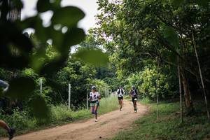 BIB: 
                            <button type="button" onclick="openModal(26833589)" class="btn btn-primary btn-sm float-right btn-popup" data-toggle="modal" data-target=".modal-high-quality">
                        <i class="fas fa-shopping-cart"></i> Add to Cart
                    </button>
                                            <button type="button" onclick="isThisMe(26833589, true)" class="btn btn-success btn-sm float-right btn-popup btn-isme hidden" data-toggle="tooltip" data-placement="bottom" title="นี่คือรูปของคุณใช่ไหม คลิกที่นี่เพื่อเอาเข้าอัลบั้ม">
                        <i class="fas fa-plus"></i> Add to album
                    </button>
                    <button type="button" onclick="isThisMe(26833589, false)" class="btn btn-warning btn-sm float-right btn-popup btn-isnotme hidden">
                        <i class="fas fa-ban"></i> Remove from album
                    </button>