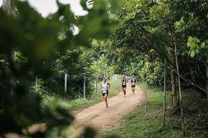 BIB: 
                            <button type="button" onclick="openModal(26830414)" class="btn btn-primary btn-sm float-right btn-popup" data-toggle="modal" data-target=".modal-high-quality">
                        <i class="fas fa-shopping-cart"></i> Add to Cart
                    </button>
                                            <button type="button" onclick="isThisMe(26830414, true)" class="btn btn-success btn-sm float-right btn-popup btn-isme hidden" data-toggle="tooltip" data-placement="bottom" title="นี่คือรูปของคุณใช่ไหม คลิกที่นี่เพื่อเอาเข้าอัลบั้ม">
                        <i class="fas fa-plus"></i> Add to album
                    </button>
                    <button type="button" onclick="isThisMe(26830414, false)" class="btn btn-warning btn-sm float-right btn-popup btn-isnotme hidden">
                        <i class="fas fa-ban"></i> Remove from album
                    </button>