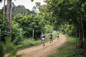 BIB: 
                            <button type="button" onclick="openModal(26828147)" class="btn btn-primary btn-sm float-right btn-popup" data-toggle="modal" data-target=".modal-high-quality">
                        <i class="fas fa-shopping-cart"></i> Add to Cart
                    </button>
                                            <button type="button" onclick="isThisMe(26828147, true)" class="btn btn-success btn-sm float-right btn-popup btn-isme hidden" data-toggle="tooltip" data-placement="bottom" title="นี่คือรูปของคุณใช่ไหม คลิกที่นี่เพื่อเอาเข้าอัลบั้ม">
                        <i class="fas fa-plus"></i> Add to album
                    </button>
                    <button type="button" onclick="isThisMe(26828147, false)" class="btn btn-warning btn-sm float-right btn-popup btn-isnotme hidden">
                        <i class="fas fa-ban"></i> Remove from album
                    </button>