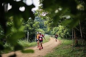 BIB: 
                            <button type="button" onclick="openModal(26821541)" class="btn btn-primary btn-sm float-right btn-popup" data-toggle="modal" data-target=".modal-high-quality">
                        <i class="fas fa-shopping-cart"></i> Add to Cart
                    </button>
                                            <button type="button" onclick="isThisMe(26821541, true)" class="btn btn-success btn-sm float-right btn-popup btn-isme hidden" data-toggle="tooltip" data-placement="bottom" title="นี่คือรูปของคุณใช่ไหม คลิกที่นี่เพื่อเอาเข้าอัลบั้ม">
                        <i class="fas fa-plus"></i> Add to album
                    </button>
                    <button type="button" onclick="isThisMe(26821541, false)" class="btn btn-warning btn-sm float-right btn-popup btn-isnotme hidden">
                        <i class="fas fa-ban"></i> Remove from album
                    </button>