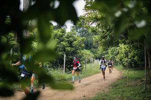 BIB: 
                            <button type="button" onclick="openModal(26825575)" class="btn btn-primary btn-sm float-right btn-popup" data-toggle="modal" data-target=".modal-high-quality">
                        <i class="fas fa-shopping-cart"></i> Add to Cart
                    </button>
                                            <button type="button" onclick="isThisMe(26825575, true)" class="btn btn-success btn-sm float-right btn-popup btn-isme hidden" data-toggle="tooltip" data-placement="bottom" title="นี่คือรูปของคุณใช่ไหม คลิกที่นี่เพื่อเอาเข้าอัลบั้ม">
                        <i class="fas fa-plus"></i> Add to album
                    </button>
                    <button type="button" onclick="isThisMe(26825575, false)" class="btn btn-warning btn-sm float-right btn-popup btn-isnotme hidden">
                        <i class="fas fa-ban"></i> Remove from album
                    </button>