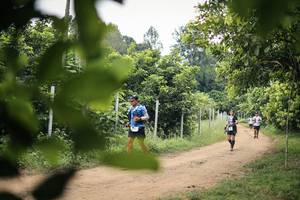 BIB: 
                            <button type="button" onclick="openModal(26822163)" class="btn btn-primary btn-sm float-right btn-popup" data-toggle="modal" data-target=".modal-high-quality">
                        <i class="fas fa-shopping-cart"></i> Add to Cart
                    </button>
                                            <button type="button" onclick="isThisMe(26822163, true)" class="btn btn-success btn-sm float-right btn-popup btn-isme hidden" data-toggle="tooltip" data-placement="bottom" title="นี่คือรูปของคุณใช่ไหม คลิกที่นี่เพื่อเอาเข้าอัลบั้ม">
                        <i class="fas fa-plus"></i> Add to album
                    </button>
                    <button type="button" onclick="isThisMe(26822163, false)" class="btn btn-warning btn-sm float-right btn-popup btn-isnotme hidden">
                        <i class="fas fa-ban"></i> Remove from album
                    </button>