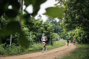 BIB: 
                            <button type="button" onclick="openModal(26826906)" class="btn btn-primary btn-sm float-right btn-popup" data-toggle="modal" data-target=".modal-high-quality">
                        <i class="fas fa-shopping-cart"></i> Add to Cart
                    </button>
                                            <button type="button" onclick="isThisMe(26826906, true)" class="btn btn-success btn-sm float-right btn-popup btn-isme hidden" data-toggle="tooltip" data-placement="bottom" title="นี่คือรูปของคุณใช่ไหม คลิกที่นี่เพื่อเอาเข้าอัลบั้ม">
                        <i class="fas fa-plus"></i> Add to album
                    </button>
                    <button type="button" onclick="isThisMe(26826906, false)" class="btn btn-warning btn-sm float-right btn-popup btn-isnotme hidden">
                        <i class="fas fa-ban"></i> Remove from album
                    </button>