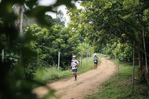 BIB: 
                            <button type="button" onclick="openModal(26830076)" class="btn btn-primary btn-sm float-right btn-popup" data-toggle="modal" data-target=".modal-high-quality">
                        <i class="fas fa-shopping-cart"></i> Add to Cart
                    </button>
                                            <button type="button" onclick="isThisMe(26830076, true)" class="btn btn-success btn-sm float-right btn-popup btn-isme hidden" data-toggle="tooltip" data-placement="bottom" title="นี่คือรูปของคุณใช่ไหม คลิกที่นี่เพื่อเอาเข้าอัลบั้ม">
                        <i class="fas fa-plus"></i> Add to album
                    </button>
                    <button type="button" onclick="isThisMe(26830076, false)" class="btn btn-warning btn-sm float-right btn-popup btn-isnotme hidden">
                        <i class="fas fa-ban"></i> Remove from album
                    </button>