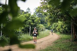 BIB: 
                            <button type="button" onclick="openModal(26822980)" class="btn btn-primary btn-sm float-right btn-popup" data-toggle="modal" data-target=".modal-high-quality">
                        <i class="fas fa-shopping-cart"></i> Add to Cart
                    </button>
                                            <button type="button" onclick="isThisMe(26822980, true)" class="btn btn-success btn-sm float-right btn-popup btn-isme hidden" data-toggle="tooltip" data-placement="bottom" title="นี่คือรูปของคุณใช่ไหม คลิกที่นี่เพื่อเอาเข้าอัลบั้ม">
                        <i class="fas fa-plus"></i> Add to album
                    </button>
                    <button type="button" onclick="isThisMe(26822980, false)" class="btn btn-warning btn-sm float-right btn-popup btn-isnotme hidden">
                        <i class="fas fa-ban"></i> Remove from album
                    </button>