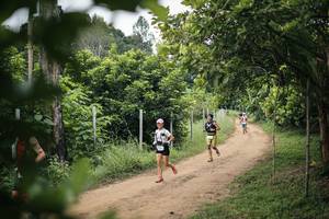 BIB: 
                            <button type="button" onclick="openModal(26827661)" class="btn btn-primary btn-sm float-right btn-popup" data-toggle="modal" data-target=".modal-high-quality">
                        <i class="fas fa-shopping-cart"></i> Add to Cart
                    </button>
                                            <button type="button" onclick="isThisMe(26827661, true)" class="btn btn-success btn-sm float-right btn-popup btn-isme hidden" data-toggle="tooltip" data-placement="bottom" title="นี่คือรูปของคุณใช่ไหม คลิกที่นี่เพื่อเอาเข้าอัลบั้ม">
                        <i class="fas fa-plus"></i> Add to album
                    </button>
                    <button type="button" onclick="isThisMe(26827661, false)" class="btn btn-warning btn-sm float-right btn-popup btn-isnotme hidden">
                        <i class="fas fa-ban"></i> Remove from album
                    </button>