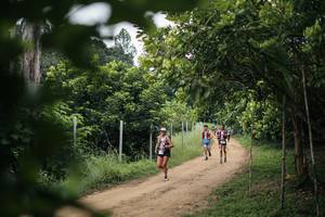 BIB: 
                            <button type="button" onclick="openModal(26829035)" class="btn btn-primary btn-sm float-right btn-popup" data-toggle="modal" data-target=".modal-high-quality">
                        <i class="fas fa-shopping-cart"></i> Add to Cart
                    </button>
                                            <button type="button" onclick="isThisMe(26829035, true)" class="btn btn-success btn-sm float-right btn-popup btn-isme hidden" data-toggle="tooltip" data-placement="bottom" title="นี่คือรูปของคุณใช่ไหม คลิกที่นี่เพื่อเอาเข้าอัลบั้ม">
                        <i class="fas fa-plus"></i> Add to album
                    </button>
                    <button type="button" onclick="isThisMe(26829035, false)" class="btn btn-warning btn-sm float-right btn-popup btn-isnotme hidden">
                        <i class="fas fa-ban"></i> Remove from album
                    </button>