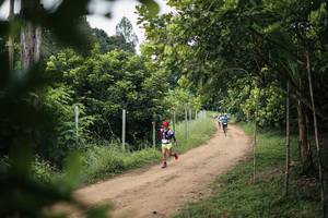 BIB: 
                            <button type="button" onclick="openModal(26829390)" class="btn btn-primary btn-sm float-right btn-popup" data-toggle="modal" data-target=".modal-high-quality">
                        <i class="fas fa-shopping-cart"></i> Add to Cart
                    </button>
                                            <button type="button" onclick="isThisMe(26829390, true)" class="btn btn-success btn-sm float-right btn-popup btn-isme hidden" data-toggle="tooltip" data-placement="bottom" title="นี่คือรูปของคุณใช่ไหม คลิกที่นี่เพื่อเอาเข้าอัลบั้ม">
                        <i class="fas fa-plus"></i> Add to album
                    </button>
                    <button type="button" onclick="isThisMe(26829390, false)" class="btn btn-warning btn-sm float-right btn-popup btn-isnotme hidden">
                        <i class="fas fa-ban"></i> Remove from album
                    </button>