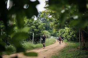 BIB: 
                            <button type="button" onclick="openModal(26824063)" class="btn btn-primary btn-sm float-right btn-popup" data-toggle="modal" data-target=".modal-high-quality">
                        <i class="fas fa-shopping-cart"></i> Add to Cart
                    </button>
                                            <button type="button" onclick="isThisMe(26824063, true)" class="btn btn-success btn-sm float-right btn-popup btn-isme hidden" data-toggle="tooltip" data-placement="bottom" title="นี่คือรูปของคุณใช่ไหม คลิกที่นี่เพื่อเอาเข้าอัลบั้ม">
                        <i class="fas fa-plus"></i> Add to album
                    </button>
                    <button type="button" onclick="isThisMe(26824063, false)" class="btn btn-warning btn-sm float-right btn-popup btn-isnotme hidden">
                        <i class="fas fa-ban"></i> Remove from album
                    </button>