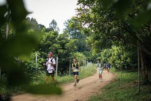 BIB: 
                            <button type="button" onclick="openModal(26822109)" class="btn btn-primary btn-sm float-right btn-popup" data-toggle="modal" data-target=".modal-high-quality">
                        <i class="fas fa-shopping-cart"></i> Add to Cart
                    </button>
                                            <button type="button" onclick="isThisMe(26822109, true)" class="btn btn-success btn-sm float-right btn-popup btn-isme hidden" data-toggle="tooltip" data-placement="bottom" title="นี่คือรูปของคุณใช่ไหม คลิกที่นี่เพื่อเอาเข้าอัลบั้ม">
                        <i class="fas fa-plus"></i> Add to album
                    </button>
                    <button type="button" onclick="isThisMe(26822109, false)" class="btn btn-warning btn-sm float-right btn-popup btn-isnotme hidden">
                        <i class="fas fa-ban"></i> Remove from album
                    </button>