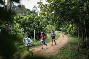 BIB: 
                            <button type="button" onclick="openModal(26828265)" class="btn btn-primary btn-sm float-right btn-popup" data-toggle="modal" data-target=".modal-high-quality">
                        <i class="fas fa-shopping-cart"></i> Add to Cart
                    </button>
                                            <button type="button" onclick="isThisMe(26828265, true)" class="btn btn-success btn-sm float-right btn-popup btn-isme hidden" data-toggle="tooltip" data-placement="bottom" title="นี่คือรูปของคุณใช่ไหม คลิกที่นี่เพื่อเอาเข้าอัลบั้ม">
                        <i class="fas fa-plus"></i> Add to album
                    </button>
                    <button type="button" onclick="isThisMe(26828265, false)" class="btn btn-warning btn-sm float-right btn-popup btn-isnotme hidden">
                        <i class="fas fa-ban"></i> Remove from album
                    </button>