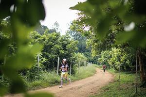 BIB: 
                            <button type="button" onclick="openModal(26821189)" class="btn btn-primary btn-sm float-right btn-popup" data-toggle="modal" data-target=".modal-high-quality">
                        <i class="fas fa-shopping-cart"></i> Add to Cart
                    </button>
                                            <button type="button" onclick="isThisMe(26821189, true)" class="btn btn-success btn-sm float-right btn-popup btn-isme hidden" data-toggle="tooltip" data-placement="bottom" title="นี่คือรูปของคุณใช่ไหม คลิกที่นี่เพื่อเอาเข้าอัลบั้ม">
                        <i class="fas fa-plus"></i> Add to album
                    </button>
                    <button type="button" onclick="isThisMe(26821189, false)" class="btn btn-warning btn-sm float-right btn-popup btn-isnotme hidden">
                        <i class="fas fa-ban"></i> Remove from album
                    </button>