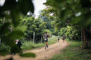 BIB: 
                            <button type="button" onclick="openModal(26823969)" class="btn btn-primary btn-sm float-right btn-popup" data-toggle="modal" data-target=".modal-high-quality">
                        <i class="fas fa-shopping-cart"></i> Add to Cart
                    </button>
                                            <button type="button" onclick="isThisMe(26823969, true)" class="btn btn-success btn-sm float-right btn-popup btn-isme hidden" data-toggle="tooltip" data-placement="bottom" title="นี่คือรูปของคุณใช่ไหม คลิกที่นี่เพื่อเอาเข้าอัลบั้ม">
                        <i class="fas fa-plus"></i> Add to album
                    </button>
                    <button type="button" onclick="isThisMe(26823969, false)" class="btn btn-warning btn-sm float-right btn-popup btn-isnotme hidden">
                        <i class="fas fa-ban"></i> Remove from album
                    </button>