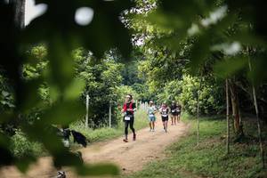 BIB: 
                            <button type="button" onclick="openModal(26822553)" class="btn btn-primary btn-sm float-right btn-popup" data-toggle="modal" data-target=".modal-high-quality">
                        <i class="fas fa-shopping-cart"></i> Add to Cart
                    </button>
                                            <button type="button" onclick="isThisMe(26822553, true)" class="btn btn-success btn-sm float-right btn-popup btn-isme hidden" data-toggle="tooltip" data-placement="bottom" title="นี่คือรูปของคุณใช่ไหม คลิกที่นี่เพื่อเอาเข้าอัลบั้ม">
                        <i class="fas fa-plus"></i> Add to album
                    </button>
                    <button type="button" onclick="isThisMe(26822553, false)" class="btn btn-warning btn-sm float-right btn-popup btn-isnotme hidden">
                        <i class="fas fa-ban"></i> Remove from album
                    </button>