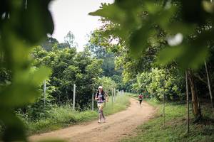 BIB: 
                            <button type="button" onclick="openModal(26821192)" class="btn btn-primary btn-sm float-right btn-popup" data-toggle="modal" data-target=".modal-high-quality">
                        <i class="fas fa-shopping-cart"></i> Add to Cart
                    </button>
                                            <button type="button" onclick="isThisMe(26821192, true)" class="btn btn-success btn-sm float-right btn-popup btn-isme hidden" data-toggle="tooltip" data-placement="bottom" title="นี่คือรูปของคุณใช่ไหม คลิกที่นี่เพื่อเอาเข้าอัลบั้ม">
                        <i class="fas fa-plus"></i> Add to album
                    </button>
                    <button type="button" onclick="isThisMe(26821192, false)" class="btn btn-warning btn-sm float-right btn-popup btn-isnotme hidden">
                        <i class="fas fa-ban"></i> Remove from album
                    </button>