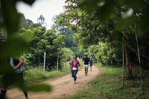 BIB: 
                            <button type="button" onclick="openModal(26821788)" class="btn btn-primary btn-sm float-right btn-popup" data-toggle="modal" data-target=".modal-high-quality">
                        <i class="fas fa-shopping-cart"></i> Add to Cart
                    </button>
                                            <button type="button" onclick="isThisMe(26821788, true)" class="btn btn-success btn-sm float-right btn-popup btn-isme hidden" data-toggle="tooltip" data-placement="bottom" title="นี่คือรูปของคุณใช่ไหม คลิกที่นี่เพื่อเอาเข้าอัลบั้ม">
                        <i class="fas fa-plus"></i> Add to album
                    </button>
                    <button type="button" onclick="isThisMe(26821788, false)" class="btn btn-warning btn-sm float-right btn-popup btn-isnotme hidden">
                        <i class="fas fa-ban"></i> Remove from album
                    </button>