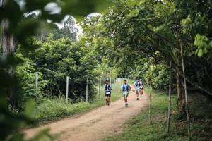 BIB: 
                            <button type="button" onclick="openModal(26830272)" class="btn btn-primary btn-sm float-right btn-popup" data-toggle="modal" data-target=".modal-high-quality">
                        <i class="fas fa-shopping-cart"></i> Add to Cart
                    </button>
                                            <button type="button" onclick="isThisMe(26830272, true)" class="btn btn-success btn-sm float-right btn-popup btn-isme hidden" data-toggle="tooltip" data-placement="bottom" title="นี่คือรูปของคุณใช่ไหม คลิกที่นี่เพื่อเอาเข้าอัลบั้ม">
                        <i class="fas fa-plus"></i> Add to album
                    </button>
                    <button type="button" onclick="isThisMe(26830272, false)" class="btn btn-warning btn-sm float-right btn-popup btn-isnotme hidden">
                        <i class="fas fa-ban"></i> Remove from album
                    </button>