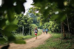 BIB: 
                            <button type="button" onclick="openModal(26821598)" class="btn btn-primary btn-sm float-right btn-popup" data-toggle="modal" data-target=".modal-high-quality">
                        <i class="fas fa-shopping-cart"></i> Add to Cart
                    </button>
                                            <button type="button" onclick="isThisMe(26821598, true)" class="btn btn-success btn-sm float-right btn-popup btn-isme hidden" data-toggle="tooltip" data-placement="bottom" title="นี่คือรูปของคุณใช่ไหม คลิกที่นี่เพื่อเอาเข้าอัลบั้ม">
                        <i class="fas fa-plus"></i> Add to album
                    </button>
                    <button type="button" onclick="isThisMe(26821598, false)" class="btn btn-warning btn-sm float-right btn-popup btn-isnotme hidden">
                        <i class="fas fa-ban"></i> Remove from album
                    </button>