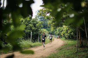 BIB: 
                            <button type="button" onclick="openModal(26821606)" class="btn btn-primary btn-sm float-right btn-popup" data-toggle="modal" data-target=".modal-high-quality">
                        <i class="fas fa-shopping-cart"></i> Add to Cart
                    </button>
                                            <button type="button" onclick="isThisMe(26821606, true)" class="btn btn-success btn-sm float-right btn-popup btn-isme hidden" data-toggle="tooltip" data-placement="bottom" title="นี่คือรูปของคุณใช่ไหม คลิกที่นี่เพื่อเอาเข้าอัลบั้ม">
                        <i class="fas fa-plus"></i> Add to album
                    </button>
                    <button type="button" onclick="isThisMe(26821606, false)" class="btn btn-warning btn-sm float-right btn-popup btn-isnotme hidden">
                        <i class="fas fa-ban"></i> Remove from album
                    </button>