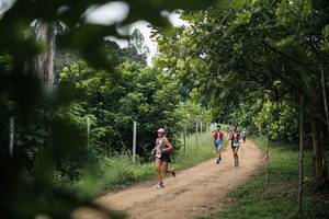 BIB: 
                            <button type="button" onclick="openModal(26829032)" class="btn btn-primary btn-sm float-right btn-popup" data-toggle="modal" data-target=".modal-high-quality">
                        <i class="fas fa-shopping-cart"></i> Add to Cart
                    </button>
                                            <button type="button" onclick="isThisMe(26829032, true)" class="btn btn-success btn-sm float-right btn-popup btn-isme hidden" data-toggle="tooltip" data-placement="bottom" title="นี่คือรูปของคุณใช่ไหม คลิกที่นี่เพื่อเอาเข้าอัลบั้ม">
                        <i class="fas fa-plus"></i> Add to album
                    </button>
                    <button type="button" onclick="isThisMe(26829032, false)" class="btn btn-warning btn-sm float-right btn-popup btn-isnotme hidden">
                        <i class="fas fa-ban"></i> Remove from album
                    </button>