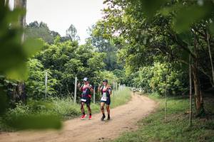 BIB: 
                            <button type="button" onclick="openModal(26822272)" class="btn btn-primary btn-sm float-right btn-popup" data-toggle="modal" data-target=".modal-high-quality">
                        <i class="fas fa-shopping-cart"></i> Add to Cart
                    </button>
                                            <button type="button" onclick="isThisMe(26822272, true)" class="btn btn-success btn-sm float-right btn-popup btn-isme hidden" data-toggle="tooltip" data-placement="bottom" title="นี่คือรูปของคุณใช่ไหม คลิกที่นี่เพื่อเอาเข้าอัลบั้ม">
                        <i class="fas fa-plus"></i> Add to album
                    </button>
                    <button type="button" onclick="isThisMe(26822272, false)" class="btn btn-warning btn-sm float-right btn-popup btn-isnotme hidden">
                        <i class="fas fa-ban"></i> Remove from album
                    </button>