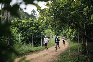 BIB: 
                            <button type="button" onclick="openModal(26828665)" class="btn btn-primary btn-sm float-right btn-popup" data-toggle="modal" data-target=".modal-high-quality">
                        <i class="fas fa-shopping-cart"></i> Add to Cart
                    </button>
                                            <button type="button" onclick="isThisMe(26828665, true)" class="btn btn-success btn-sm float-right btn-popup btn-isme hidden" data-toggle="tooltip" data-placement="bottom" title="นี่คือรูปของคุณใช่ไหม คลิกที่นี่เพื่อเอาเข้าอัลบั้ม">
                        <i class="fas fa-plus"></i> Add to album
                    </button>
                    <button type="button" onclick="isThisMe(26828665, false)" class="btn btn-warning btn-sm float-right btn-popup btn-isnotme hidden">
                        <i class="fas fa-ban"></i> Remove from album
                    </button>