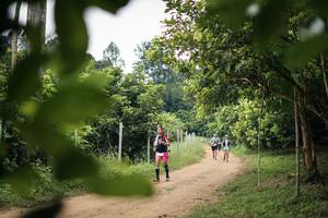 BIB: 
                            <button type="button" onclick="openModal(26821931)" class="btn btn-primary btn-sm float-right btn-popup" data-toggle="modal" data-target=".modal-high-quality">
                        <i class="fas fa-shopping-cart"></i> Add to Cart
                    </button>
                                            <button type="button" onclick="isThisMe(26821931, true)" class="btn btn-success btn-sm float-right btn-popup btn-isme hidden" data-toggle="tooltip" data-placement="bottom" title="นี่คือรูปของคุณใช่ไหม คลิกที่นี่เพื่อเอาเข้าอัลบั้ม">
                        <i class="fas fa-plus"></i> Add to album
                    </button>
                    <button type="button" onclick="isThisMe(26821931, false)" class="btn btn-warning btn-sm float-right btn-popup btn-isnotme hidden">
                        <i class="fas fa-ban"></i> Remove from album
                    </button>