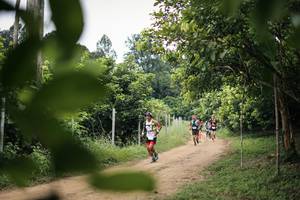 BIB: 
                            <button type="button" onclick="openModal(26827316)" class="btn btn-primary btn-sm float-right btn-popup" data-toggle="modal" data-target=".modal-high-quality">
                        <i class="fas fa-shopping-cart"></i> Add to Cart
                    </button>
                                            <button type="button" onclick="isThisMe(26827316, true)" class="btn btn-success btn-sm float-right btn-popup btn-isme hidden" data-toggle="tooltip" data-placement="bottom" title="นี่คือรูปของคุณใช่ไหม คลิกที่นี่เพื่อเอาเข้าอัลบั้ม">
                        <i class="fas fa-plus"></i> Add to album
                    </button>
                    <button type="button" onclick="isThisMe(26827316, false)" class="btn btn-warning btn-sm float-right btn-popup btn-isnotme hidden">
                        <i class="fas fa-ban"></i> Remove from album
                    </button>