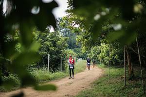 BIB: 
                            <button type="button" onclick="openModal(26821667)" class="btn btn-primary btn-sm float-right btn-popup" data-toggle="modal" data-target=".modal-high-quality">
                        <i class="fas fa-shopping-cart"></i> Add to Cart
                    </button>
                                            <button type="button" onclick="isThisMe(26821667, true)" class="btn btn-success btn-sm float-right btn-popup btn-isme hidden" data-toggle="tooltip" data-placement="bottom" title="นี่คือรูปของคุณใช่ไหม คลิกที่นี่เพื่อเอาเข้าอัลบั้ม">
                        <i class="fas fa-plus"></i> Add to album
                    </button>
                    <button type="button" onclick="isThisMe(26821667, false)" class="btn btn-warning btn-sm float-right btn-popup btn-isnotme hidden">
                        <i class="fas fa-ban"></i> Remove from album
                    </button>