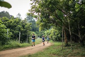 BIB: 
                            <button type="button" onclick="openModal(26821415)" class="btn btn-primary btn-sm float-right btn-popup" data-toggle="modal" data-target=".modal-high-quality">
                        <i class="fas fa-shopping-cart"></i> Add to Cart
                    </button>
                                            <button type="button" onclick="isThisMe(26821415, true)" class="btn btn-success btn-sm float-right btn-popup btn-isme hidden" data-toggle="tooltip" data-placement="bottom" title="นี่คือรูปของคุณใช่ไหม คลิกที่นี่เพื่อเอาเข้าอัลบั้ม">
                        <i class="fas fa-plus"></i> Add to album
                    </button>
                    <button type="button" onclick="isThisMe(26821415, false)" class="btn btn-warning btn-sm float-right btn-popup btn-isnotme hidden">
                        <i class="fas fa-ban"></i> Remove from album
                    </button>