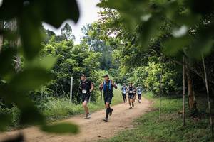 BIB: 
                            <button type="button" onclick="openModal(26824623)" class="btn btn-primary btn-sm float-right btn-popup" data-toggle="modal" data-target=".modal-high-quality">
                        <i class="fas fa-shopping-cart"></i> Add to Cart
                    </button>
                                            <button type="button" onclick="isThisMe(26824623, true)" class="btn btn-success btn-sm float-right btn-popup btn-isme hidden" data-toggle="tooltip" data-placement="bottom" title="นี่คือรูปของคุณใช่ไหม คลิกที่นี่เพื่อเอาเข้าอัลบั้ม">
                        <i class="fas fa-plus"></i> Add to album
                    </button>
                    <button type="button" onclick="isThisMe(26824623, false)" class="btn btn-warning btn-sm float-right btn-popup btn-isnotme hidden">
                        <i class="fas fa-ban"></i> Remove from album
                    </button>