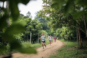 BIB: 
                            <button type="button" onclick="openModal(26823562)" class="btn btn-primary btn-sm float-right btn-popup" data-toggle="modal" data-target=".modal-high-quality">
                        <i class="fas fa-shopping-cart"></i> Add to Cart
                    </button>
                                            <button type="button" onclick="isThisMe(26823562, true)" class="btn btn-success btn-sm float-right btn-popup btn-isme hidden" data-toggle="tooltip" data-placement="bottom" title="นี่คือรูปของคุณใช่ไหม คลิกที่นี่เพื่อเอาเข้าอัลบั้ม">
                        <i class="fas fa-plus"></i> Add to album
                    </button>
                    <button type="button" onclick="isThisMe(26823562, false)" class="btn btn-warning btn-sm float-right btn-popup btn-isnotme hidden">
                        <i class="fas fa-ban"></i> Remove from album
                    </button>