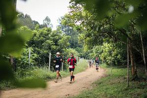 BIB: 
                            <button type="button" onclick="openModal(26822191)" class="btn btn-primary btn-sm float-right btn-popup" data-toggle="modal" data-target=".modal-high-quality">
                        <i class="fas fa-shopping-cart"></i> Add to Cart
                    </button>
                                            <button type="button" onclick="isThisMe(26822191, true)" class="btn btn-success btn-sm float-right btn-popup btn-isme hidden" data-toggle="tooltip" data-placement="bottom" title="นี่คือรูปของคุณใช่ไหม คลิกที่นี่เพื่อเอาเข้าอัลบั้ม">
                        <i class="fas fa-plus"></i> Add to album
                    </button>
                    <button type="button" onclick="isThisMe(26822191, false)" class="btn btn-warning btn-sm float-right btn-popup btn-isnotme hidden">
                        <i class="fas fa-ban"></i> Remove from album
                    </button>