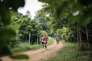 BIB: 
                            <button type="button" onclick="openModal(26823629)" class="btn btn-primary btn-sm float-right btn-popup" data-toggle="modal" data-target=".modal-high-quality">
                        <i class="fas fa-shopping-cart"></i> Add to Cart
                    </button>
                                            <button type="button" onclick="isThisMe(26823629, true)" class="btn btn-success btn-sm float-right btn-popup btn-isme hidden" data-toggle="tooltip" data-placement="bottom" title="นี่คือรูปของคุณใช่ไหม คลิกที่นี่เพื่อเอาเข้าอัลบั้ม">
                        <i class="fas fa-plus"></i> Add to album
                    </button>
                    <button type="button" onclick="isThisMe(26823629, false)" class="btn btn-warning btn-sm float-right btn-popup btn-isnotme hidden">
                        <i class="fas fa-ban"></i> Remove from album
                    </button>