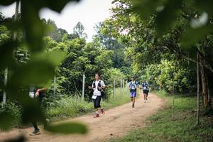 BIB: 
                            <button type="button" onclick="openModal(26823153)" class="btn btn-primary btn-sm float-right btn-popup" data-toggle="modal" data-target=".modal-high-quality">
                        <i class="fas fa-shopping-cart"></i> Add to Cart
                    </button>
                                            <button type="button" onclick="isThisMe(26823153, true)" class="btn btn-success btn-sm float-right btn-popup btn-isme hidden" data-toggle="tooltip" data-placement="bottom" title="นี่คือรูปของคุณใช่ไหม คลิกที่นี่เพื่อเอาเข้าอัลบั้ม">
                        <i class="fas fa-plus"></i> Add to album
                    </button>
                    <button type="button" onclick="isThisMe(26823153, false)" class="btn btn-warning btn-sm float-right btn-popup btn-isnotme hidden">
                        <i class="fas fa-ban"></i> Remove from album
                    </button>