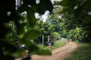 BIB: 
                            <button type="button" onclick="openModal(26834153)" class="btn btn-primary btn-sm float-right btn-popup" data-toggle="modal" data-target=".modal-high-quality">
                        <i class="fas fa-shopping-cart"></i> Add to Cart
                    </button>
                                            <button type="button" onclick="isThisMe(26834153, true)" class="btn btn-success btn-sm float-right btn-popup btn-isme hidden" data-toggle="tooltip" data-placement="bottom" title="นี่คือรูปของคุณใช่ไหม คลิกที่นี่เพื่อเอาเข้าอัลบั้ม">
                        <i class="fas fa-plus"></i> Add to album
                    </button>
                    <button type="button" onclick="isThisMe(26834153, false)" class="btn btn-warning btn-sm float-right btn-popup btn-isnotme hidden">
                        <i class="fas fa-ban"></i> Remove from album
                    </button>