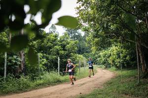 BIB: 
                            <button type="button" onclick="openModal(26833879)" class="btn btn-primary btn-sm float-right btn-popup" data-toggle="modal" data-target=".modal-high-quality">
                        <i class="fas fa-shopping-cart"></i> Add to Cart
                    </button>
                                            <button type="button" onclick="isThisMe(26833879, true)" class="btn btn-success btn-sm float-right btn-popup btn-isme hidden" data-toggle="tooltip" data-placement="bottom" title="นี่คือรูปของคุณใช่ไหม คลิกที่นี่เพื่อเอาเข้าอัลบั้ม">
                        <i class="fas fa-plus"></i> Add to album
                    </button>
                    <button type="button" onclick="isThisMe(26833879, false)" class="btn btn-warning btn-sm float-right btn-popup btn-isnotme hidden">
                        <i class="fas fa-ban"></i> Remove from album
                    </button>