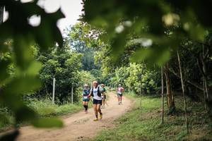 BIB: 
                            <button type="button" onclick="openModal(26821295)" class="btn btn-primary btn-sm float-right btn-popup" data-toggle="modal" data-target=".modal-high-quality">
                        <i class="fas fa-shopping-cart"></i> Add to Cart
                    </button>
                                            <button type="button" onclick="isThisMe(26821295, true)" class="btn btn-success btn-sm float-right btn-popup btn-isme hidden" data-toggle="tooltip" data-placement="bottom" title="นี่คือรูปของคุณใช่ไหม คลิกที่นี่เพื่อเอาเข้าอัลบั้ม">
                        <i class="fas fa-plus"></i> Add to album
                    </button>
                    <button type="button" onclick="isThisMe(26821295, false)" class="btn btn-warning btn-sm float-right btn-popup btn-isnotme hidden">
                        <i class="fas fa-ban"></i> Remove from album
                    </button>