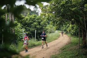 BIB: 
                            <button type="button" onclick="openModal(26827619)" class="btn btn-primary btn-sm float-right btn-popup" data-toggle="modal" data-target=".modal-high-quality">
                        <i class="fas fa-shopping-cart"></i> Add to Cart
                    </button>
                                            <button type="button" onclick="isThisMe(26827619, true)" class="btn btn-success btn-sm float-right btn-popup btn-isme hidden" data-toggle="tooltip" data-placement="bottom" title="นี่คือรูปของคุณใช่ไหม คลิกที่นี่เพื่อเอาเข้าอัลบั้ม">
                        <i class="fas fa-plus"></i> Add to album
                    </button>
                    <button type="button" onclick="isThisMe(26827619, false)" class="btn btn-warning btn-sm float-right btn-popup btn-isnotme hidden">
                        <i class="fas fa-ban"></i> Remove from album
                    </button>