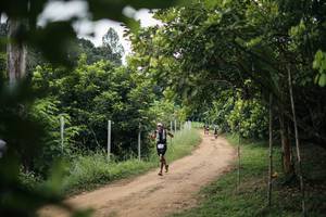 BIB: 
                            <button type="button" onclick="openModal(26828810)" class="btn btn-primary btn-sm float-right btn-popup" data-toggle="modal" data-target=".modal-high-quality">
                        <i class="fas fa-shopping-cart"></i> Add to Cart
                    </button>
                                            <button type="button" onclick="isThisMe(26828810, true)" class="btn btn-success btn-sm float-right btn-popup btn-isme hidden" data-toggle="tooltip" data-placement="bottom" title="นี่คือรูปของคุณใช่ไหม คลิกที่นี่เพื่อเอาเข้าอัลบั้ม">
                        <i class="fas fa-plus"></i> Add to album
                    </button>
                    <button type="button" onclick="isThisMe(26828810, false)" class="btn btn-warning btn-sm float-right btn-popup btn-isnotme hidden">
                        <i class="fas fa-ban"></i> Remove from album
                    </button>