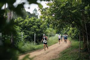 BIB: 
                            <button type="button" onclick="openModal(26828733)" class="btn btn-primary btn-sm float-right btn-popup" data-toggle="modal" data-target=".modal-high-quality">
                        <i class="fas fa-shopping-cart"></i> Add to Cart
                    </button>
                                            <button type="button" onclick="isThisMe(26828733, true)" class="btn btn-success btn-sm float-right btn-popup btn-isme hidden" data-toggle="tooltip" data-placement="bottom" title="นี่คือรูปของคุณใช่ไหม คลิกที่นี่เพื่อเอาเข้าอัลบั้ม">
                        <i class="fas fa-plus"></i> Add to album
                    </button>
                    <button type="button" onclick="isThisMe(26828733, false)" class="btn btn-warning btn-sm float-right btn-popup btn-isnotme hidden">
                        <i class="fas fa-ban"></i> Remove from album
                    </button>