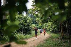 BIB: 
                            <button type="button" onclick="openModal(26824020)" class="btn btn-primary btn-sm float-right btn-popup" data-toggle="modal" data-target=".modal-high-quality">
                        <i class="fas fa-shopping-cart"></i> Add to Cart
                    </button>
                                            <button type="button" onclick="isThisMe(26824020, true)" class="btn btn-success btn-sm float-right btn-popup btn-isme hidden" data-toggle="tooltip" data-placement="bottom" title="นี่คือรูปของคุณใช่ไหม คลิกที่นี่เพื่อเอาเข้าอัลบั้ม">
                        <i class="fas fa-plus"></i> Add to album
                    </button>
                    <button type="button" onclick="isThisMe(26824020, false)" class="btn btn-warning btn-sm float-right btn-popup btn-isnotme hidden">
                        <i class="fas fa-ban"></i> Remove from album
                    </button>